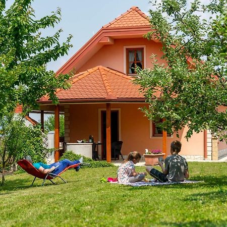 Апартаменты Planinca -Hisa Z Razgledom Smarje pri Jelsah Экстерьер фото